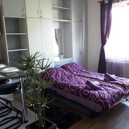 Aranycsillag Family Apartman *